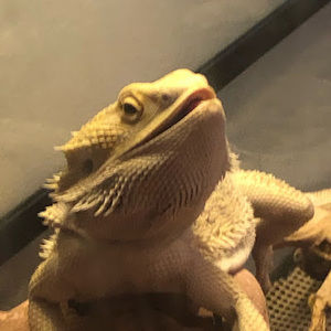 Meet your Posher, Fmg